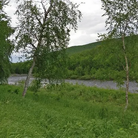 Vetsituvat